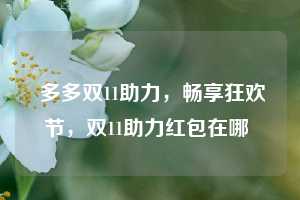  多多双11助力，畅享狂欢节，双11助力红包在哪 第1张